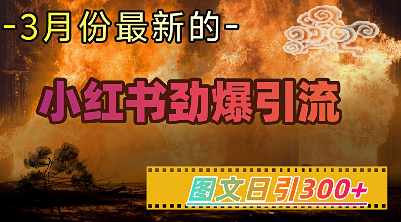 小红书超劲爆引流手段，图文日引300+轻松变现1W